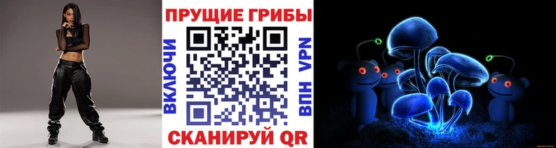 Галлюциногенные грибы Psilocybe Печоры